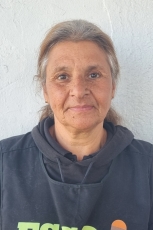 AE Elisa Araya (Auxiliar)